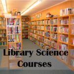 Exploring a Career in Library Science