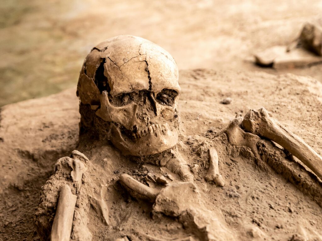 Anthropology