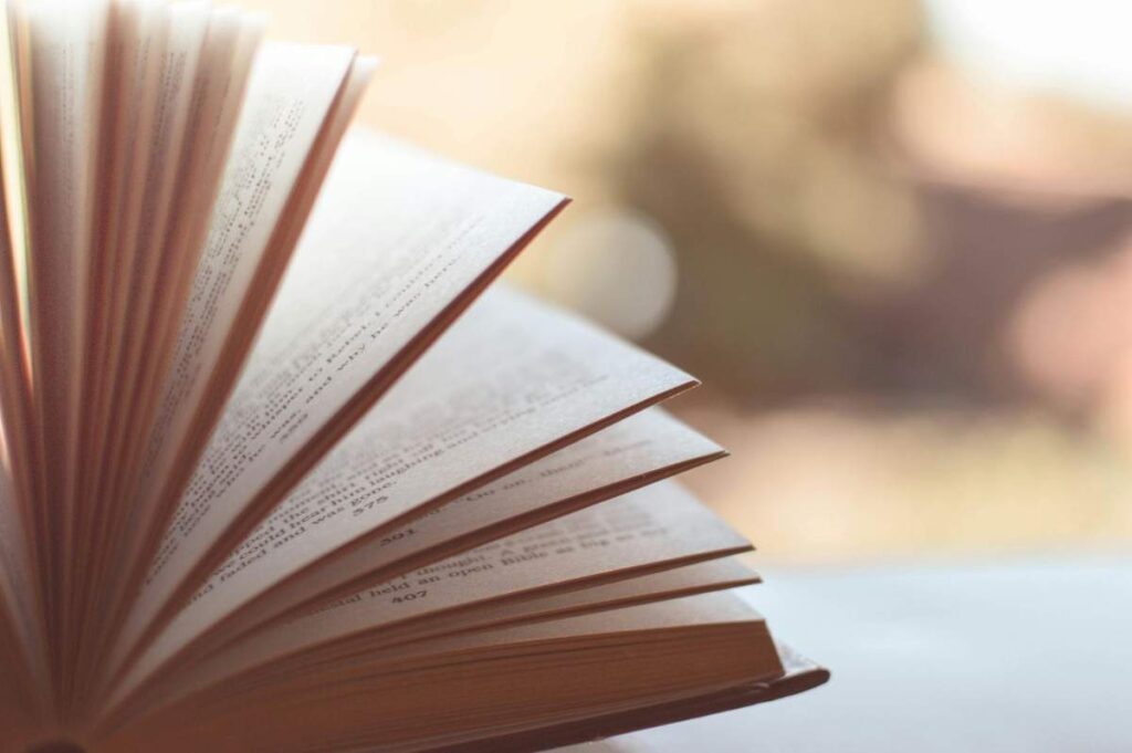 Pursuing Literature