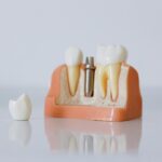 Master of Dental Surgery