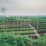 Agribusiness Management