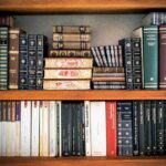 Pursuing Literature