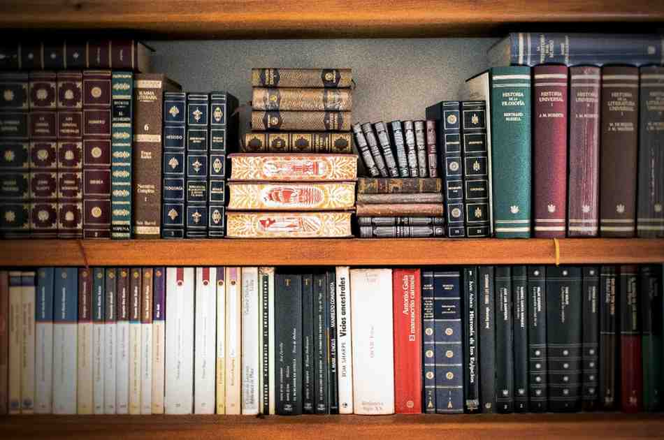 Pursuing Literature