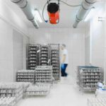 Logistics & Supply Chain