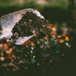 Gardening Programme