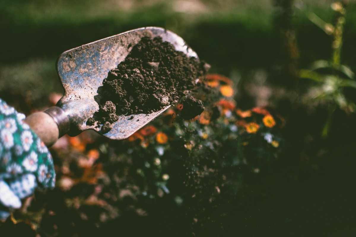 Gardening Programme