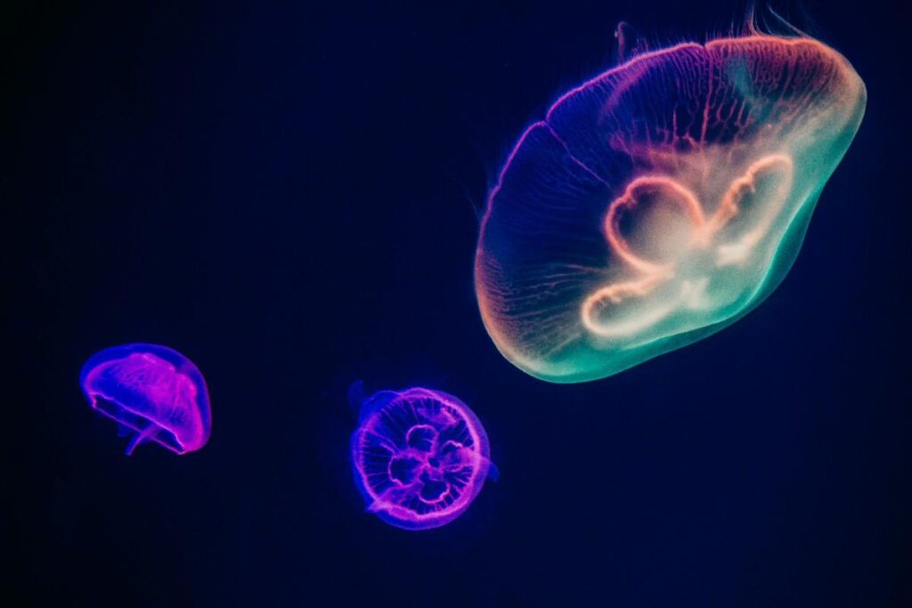 Marine Biology