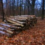 Forestry