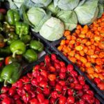 Organic Farming