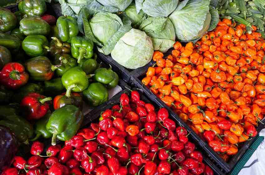 Organic Farming
