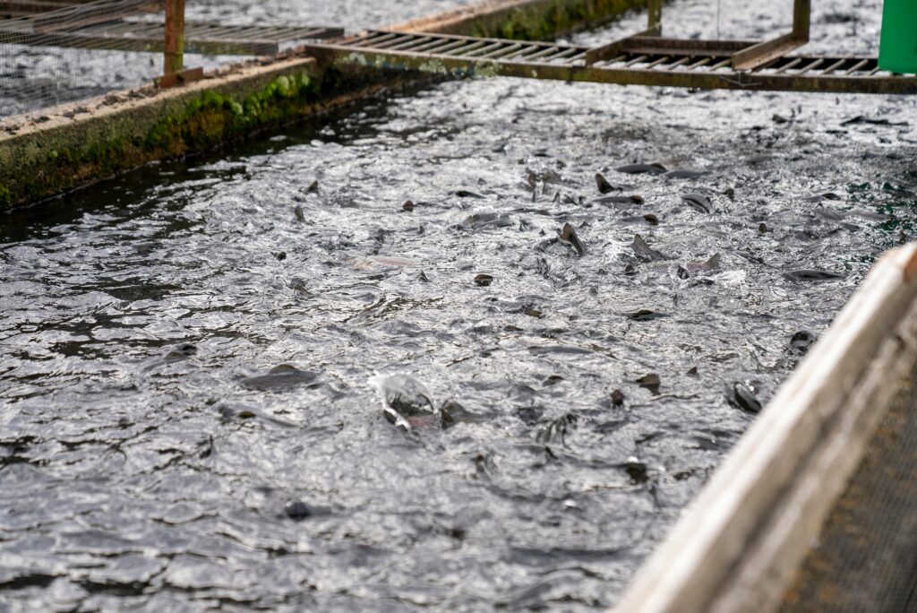 Fisheries Science