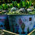Horticulture