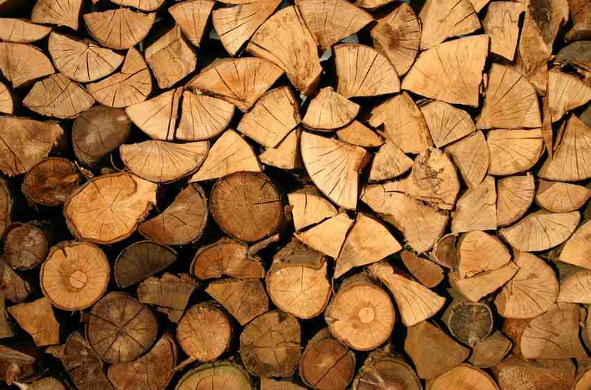 Forestry
