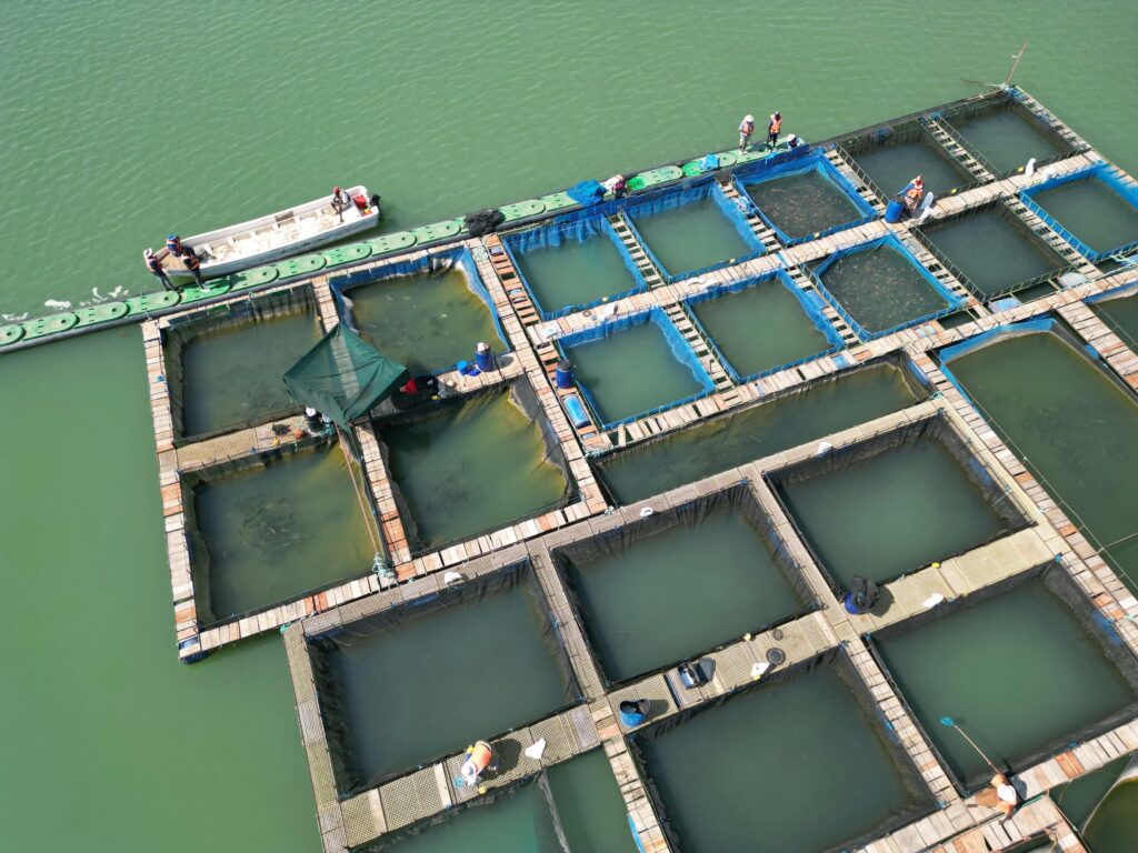 Fisheries Science