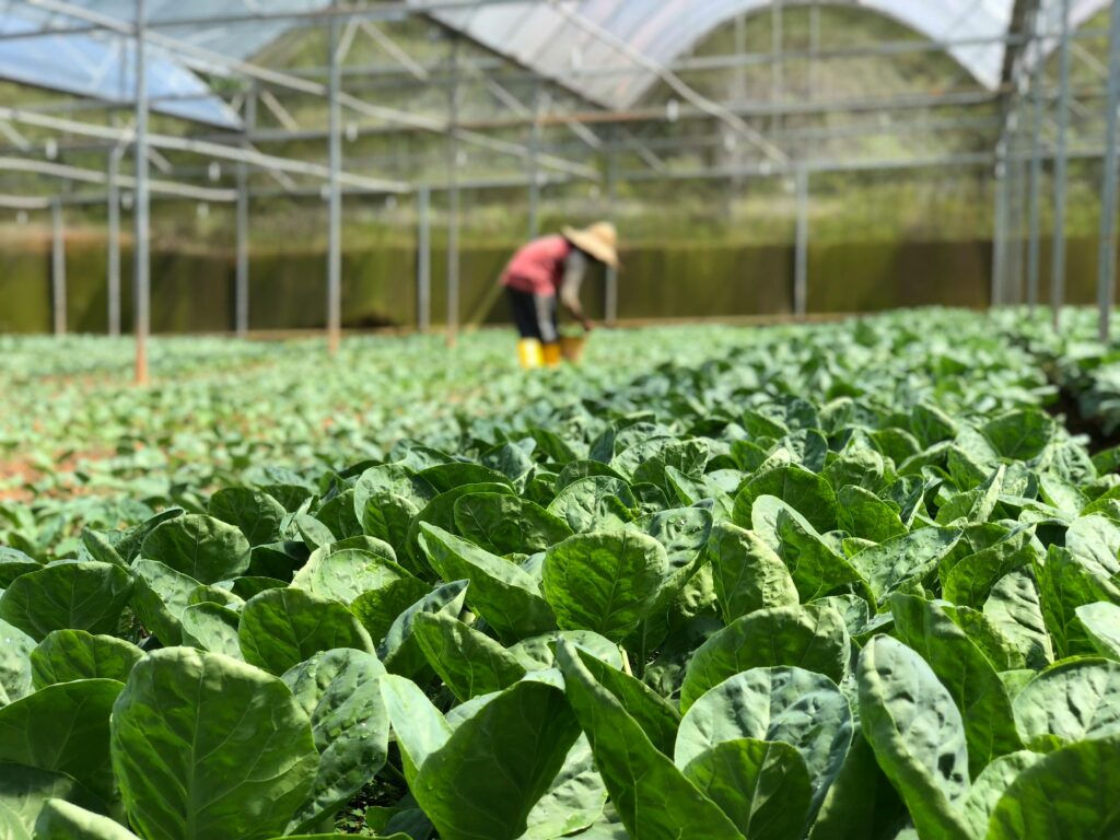 Horticulture