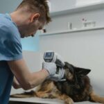 Veterinary Medicine